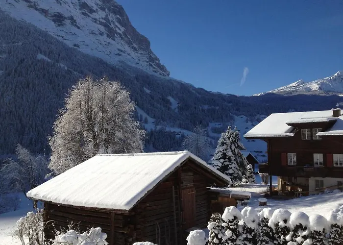 Baergsunna-1 By Interhome Appartement Grindelwald