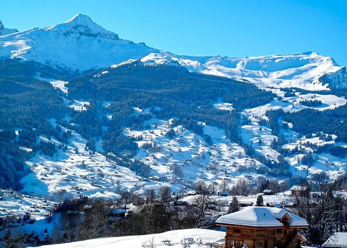 Baergsunna-1 By Interhome Appartement Grindelwald