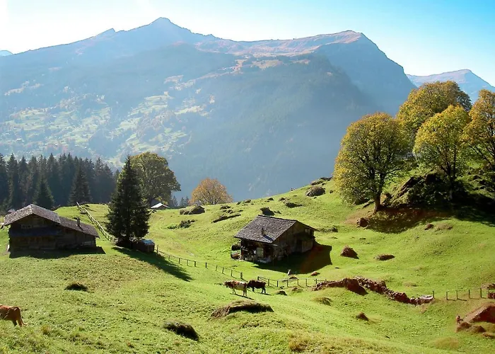 Baergsunna-1 By Interhome Grindelwald