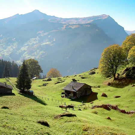 Baergsunna-1 By Interhome Γκρίντελβαλντ